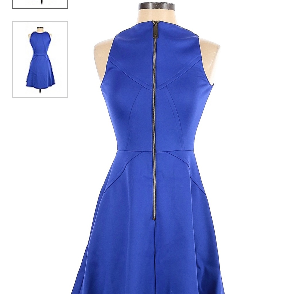 Ted Baker Skater Dress